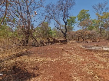 Farm & Agricultural Land